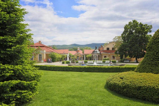 448970_img_1617 edit 676x451.jpg