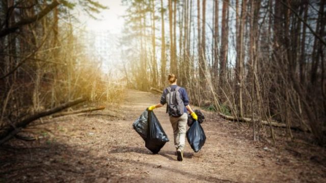 449106_thumbnail_adobestock_201067800 676x450.jpg