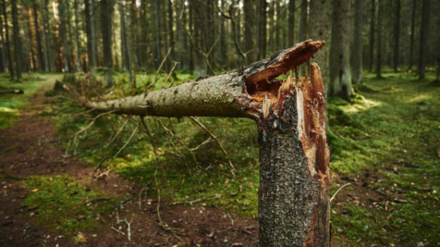 449129_gettyimages 1062042256 676x451.jpg