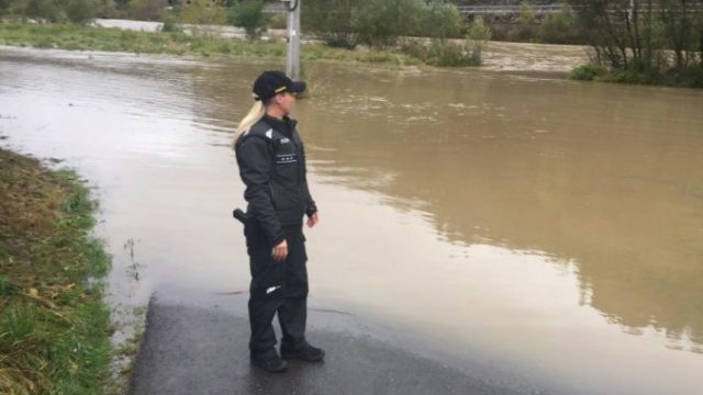 450238_10 2 676x599.jpg