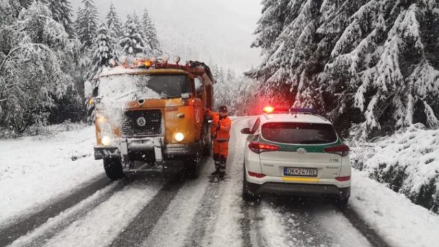 450313_07 1 676x507.jpg