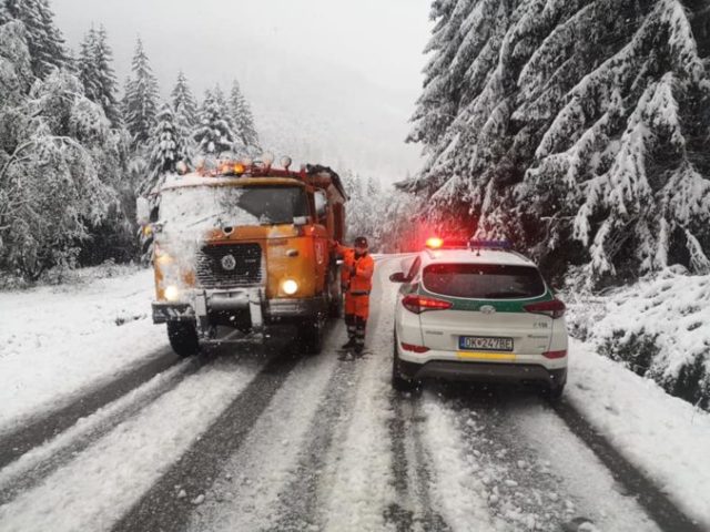 450313_07 1 676x507.jpg