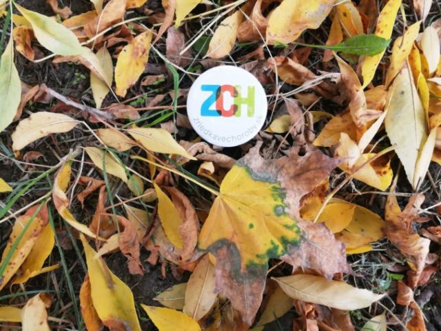 450347_zch_jesen_ilustrak_5 676x507.jpg