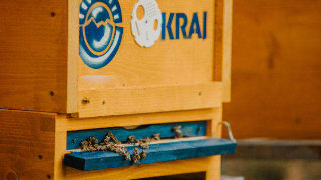 451035_vcely_med_potraviny_kraj_vcelnica_med z nasich ulov_ 5 676x451.jpg