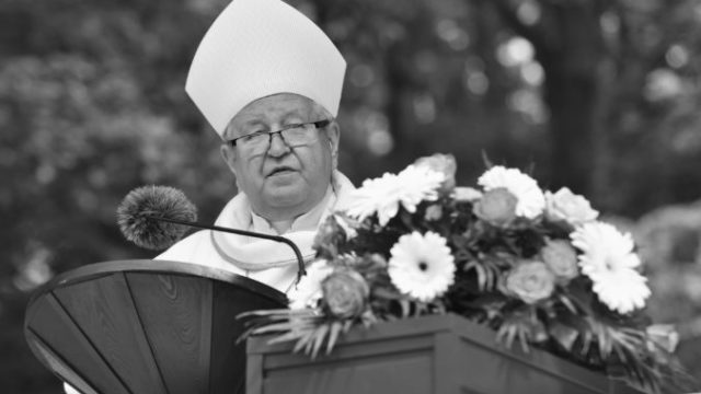 451094_stefan secka 676x451.jpg