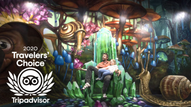 451103_tricklandia_2020_1 676x424.jpg