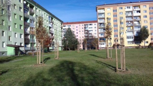 452174_stara lubovna stromceky vysadba 676x380.jpg