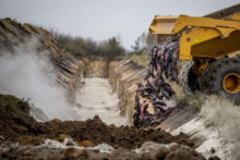 452735_virus_outbreak_denmark_mink_49740 6e8049798ab24a14b95a93ae07bcd5cb 676x451.jpg