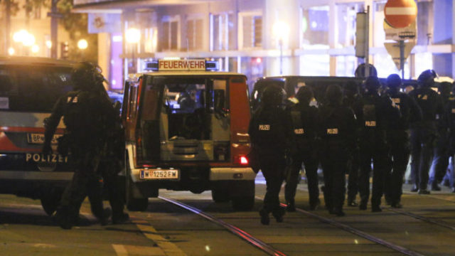 453605_austria_police_operation_17859 f28cdf00fd954833a0789b09ff2e7e47 676x451.jpg