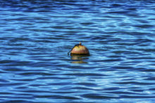 457932_gettyimages 1298471868 676x451.jpg