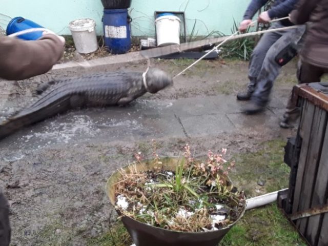 458781_ewq50lnwgaa5zeb 676x507.jpg