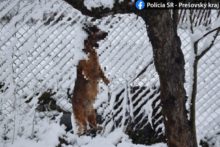 460374_169981866_1103987606732253_6553192276936923446_n 676x451.jpg