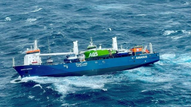 460410_norway_cargo_ship_58269 7472a53deb1a4bc9927746b02693d0f7 676x451.jpg