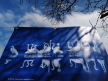 461215_wetlands 676x507.jpg