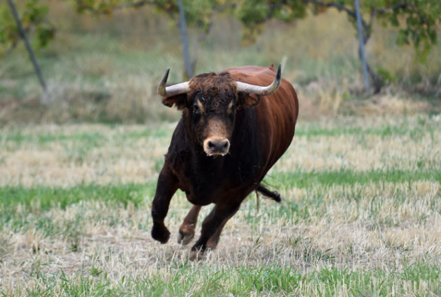 461530_gettyimages 1181242867 676x456.jpg