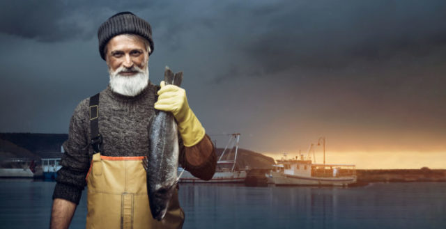 461741_omf  676x348.jpg