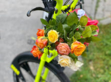 462224_109720659_10157464653728441_4586728965376329108_n 676x500.jpg