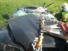 462321_185512292_3390828601032333_2120762756005017177_n 676x507.jpg