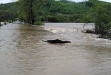 462801_hazz1 676x459.jpg