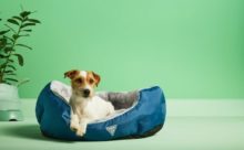 462940_z recyklovaneho plastu 2 small 676x417.jpg