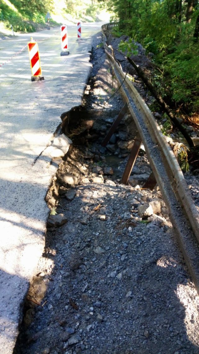 462970_dsc_3070 676x1201.jpg