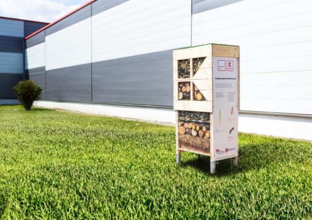 463015_hmyzi hotel_kaufland 676x478.jpg