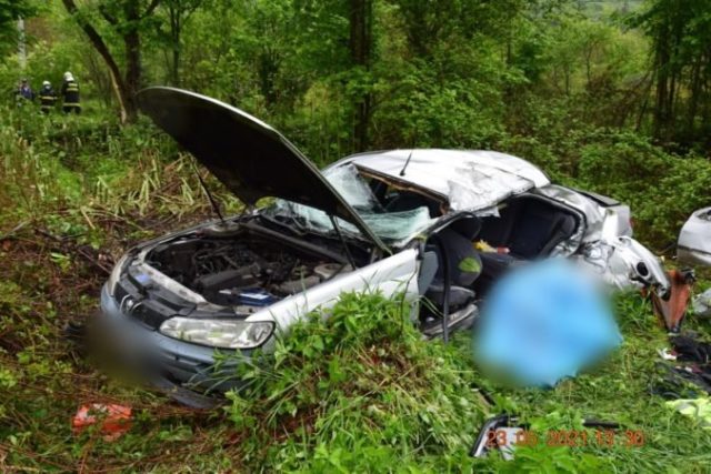 463159_191189412_1746771615533531_918165641613980596_n 676x451.jpg