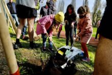 463354_avion sadenie stromov april 2021 2 676x451.jpg