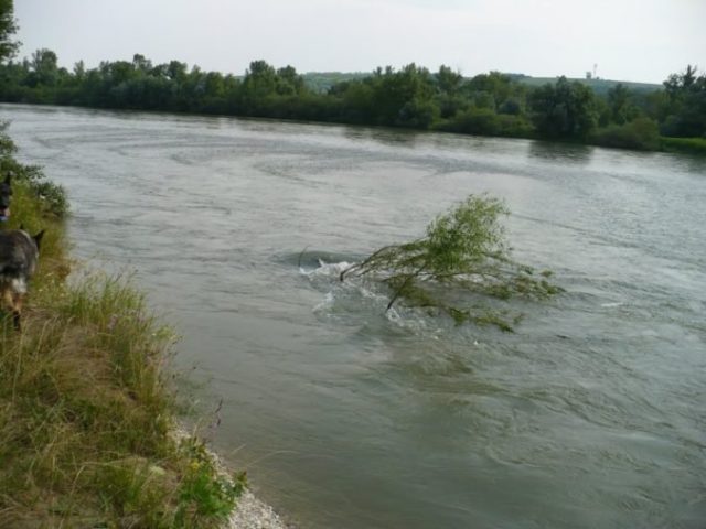 464072_vah utopenie chlapec 676x507.jpg