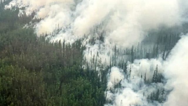 464414_russia_wildfire_97929 ffba9673639f458fa4536f996f36cb53 676x451.jpg