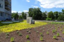 464567_199768339_4204887559570621_6629913975308580471_n 676x451.jpg