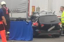 464905_202106738_1209680426121152_5518091228420221747_n 676x451.jpg