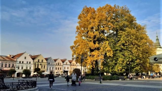 465263_zilina 676x460.jpg