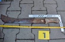 465480_maceta 676x445.jpg