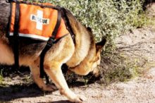 465662_gettyimages 92279261 170667a.jpg