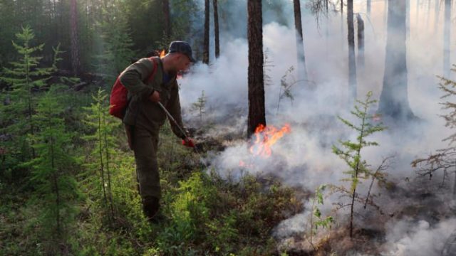 466354_russia_fires_32223 063a129801df419396856ecfc74db9c0 676x387.jpg