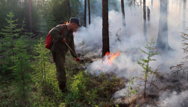 466354_russia_fires_32223 063a129801df419396856ecfc74db9c0 676x387.jpg