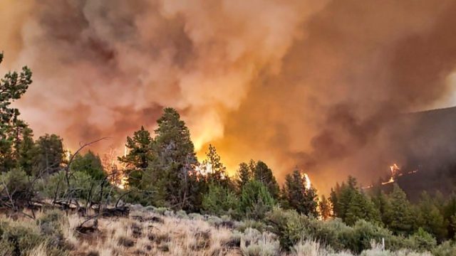 466515_western_wildfires_32420 ea1c9bf4a1574567aafb796d9cd9b027 676x507.jpg
