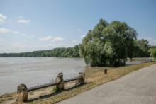 466634_4o8a8049 676x451.jpg