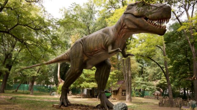 466693_dino park 676x451.jpg