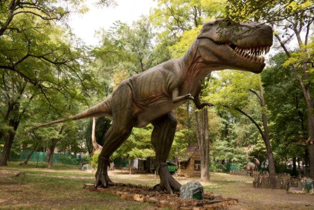 466693_dino park 676x451.jpg