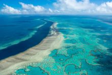 466973_australia_great_barrier_reef_48976 03e22a577c3c4b2caedf8e2dcd8e1edc 676x451.jpg