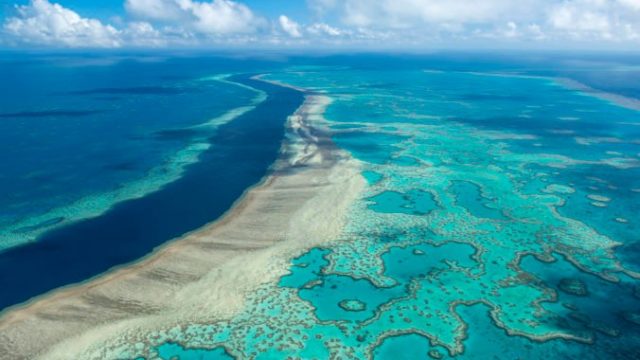 466973_australia_great_barrier_reef_48976 03e22a577c3c4b2caedf8e2dcd8e1edc 676x451.jpg