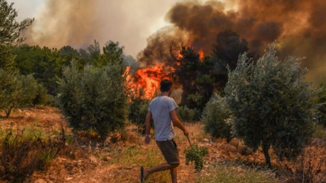 467466_turkey_wildfire_32291 d3f704f4673d4e37a1e6118fca81d690 676x451.jpg