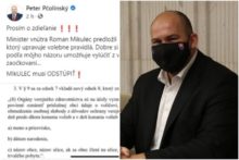 467636_peter pcolinsky status volebne pravo 676x451.jpg