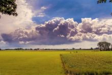 467889_gettyimages 1130339869 676x451.jpg