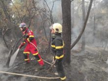 468058_234779843_3645605148888009_7625517433293317408_n 676x506.jpg