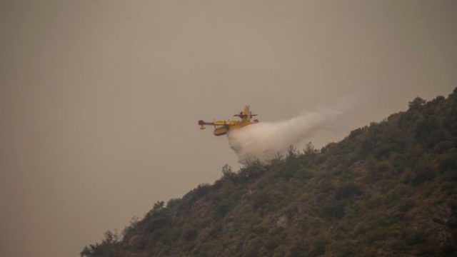 468253_turkey_wildfire_43389 bbec27fe2f8b4722bfee180113e63a7a 676x451.jpg