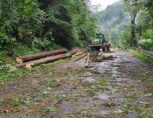 468438_239344325_1806509632893062_3274383637740832624_n e1629189557599 676x523.jpg