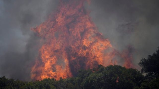 468562_france_wildfire_26271 ba68633bd56d4b20903dfca6245329f3 676x451.jpg